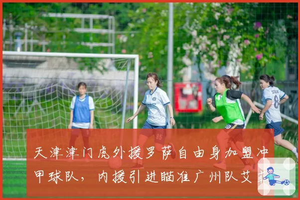 天津津门虎外援罗萨自由身加盟冲甲球队,内援引进瞄准广州队艾菲尔丁