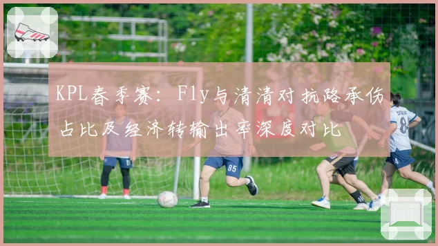KPL春季赛:Fly与清清对抗路承伤占比及经济转输出率深度对比