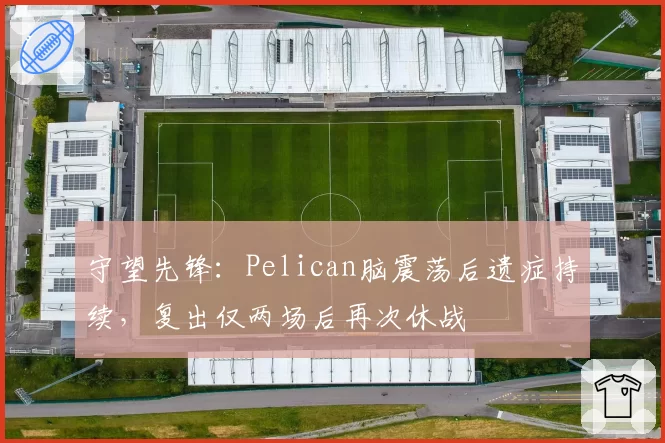 守望先锋:Pelican脑震荡后遗症持续,复出仅两场后再次休战